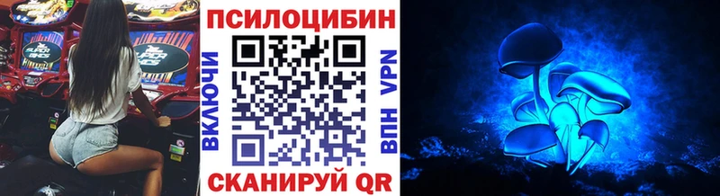 Купить  Ужур  Псилоцибиновые грибы ЛСД 